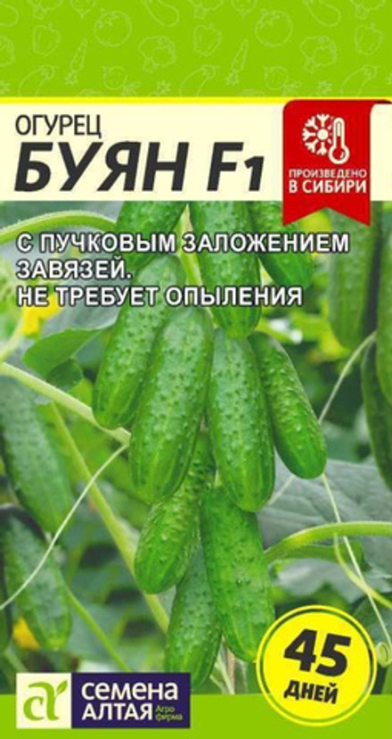 Огурец БУЯН F1 цв.пак. 5 шт. Семена Алтая