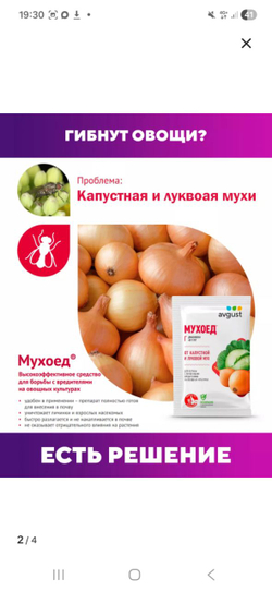 Гранулы от луковой мухи Avgust "Мухоед", Г, 25 г