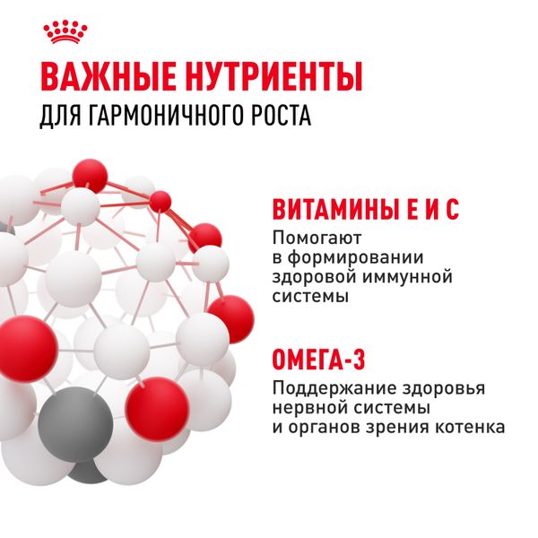 Пауч Royal Canin Kitten Gravy для котят в период второй фазы роста в возрасте до 12 месяцев, кусочки в соусе