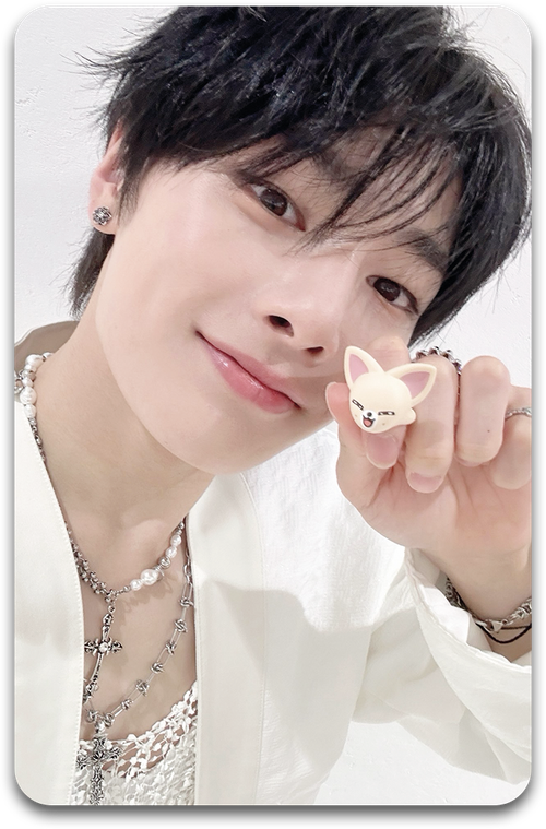 Карта / STRAY KIDS #2040