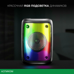 Портативная колонка Hyundai H-PS1006 черный