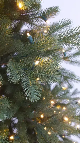 Искусственная елка Швейцарская 230 см., 340 теплых белых LED ламп, 100% литая хвоя, Black Box (74600)