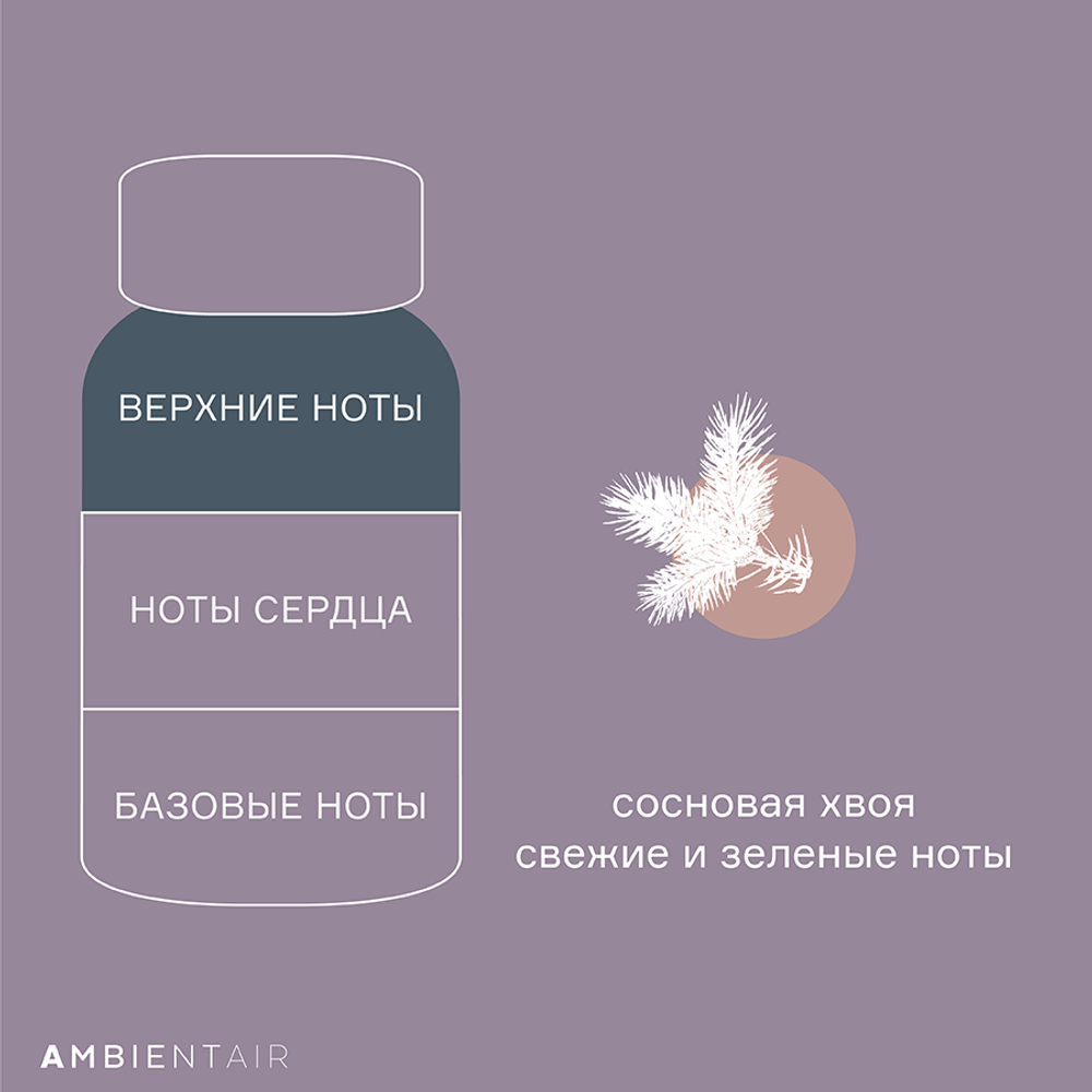 Диффузор ароматический Ambientair Enchanted Forest Белый жасмин 100мл