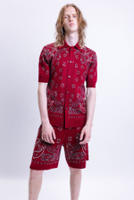 Шорты PAISLEY