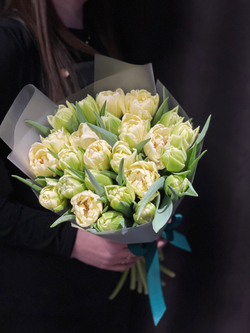 25 пионовидных тюльпанов