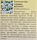 Тысячелистник Жемчуг белый 0,05 г СМЦ-943