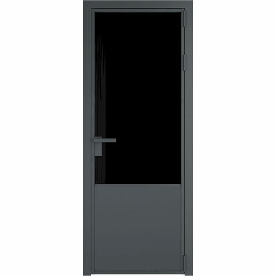 Алюминиевая дверь 19AG серая ночь стекло чёрный триплекс