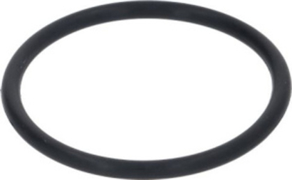 56.01.481P Rational Уплотнительное кольцо аварийного перелива LM1 LM2; В-E начиная с 03/2020