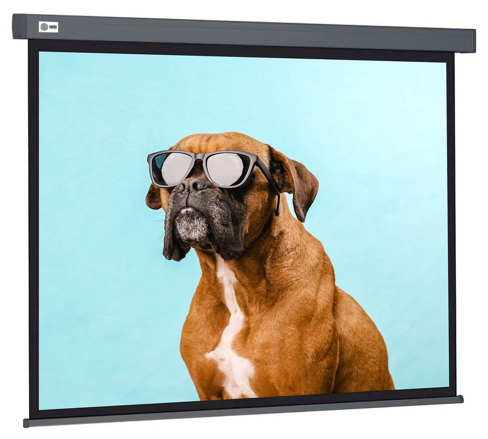 Экран  Cactus CS-PSW-149X265-SG