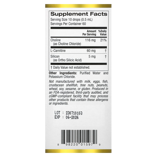 California Gold Nutrition, комплекс с холином и диоксидом кремния, биодоступный и стабилизированный кремний с холином и L-карнитином, 30 мл (1 жидк. унция)