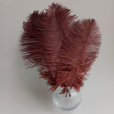 Перо страуса темно-коричневое 15 - 20 см.