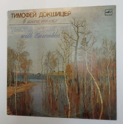 Винтажная виниловая пластинка LP Тимофей Докшицер В Ансамблях (СССР 1989)