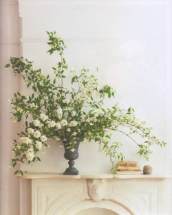 The Flower Workshop