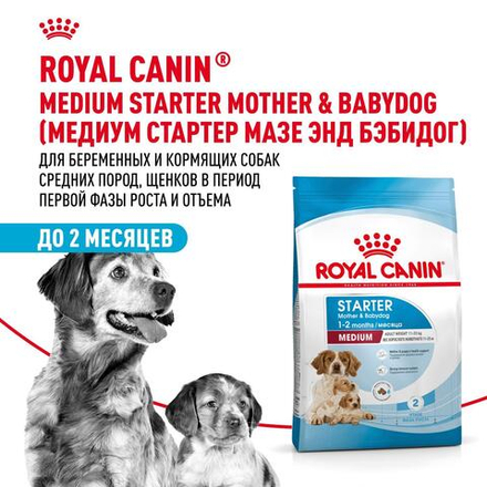 Royal Canin Medium Starter Mother&Babydog Медиум Стартер энд бебидог Корм для щенков средних пород до 2 месяцев беременных и кормящих собак 12кг