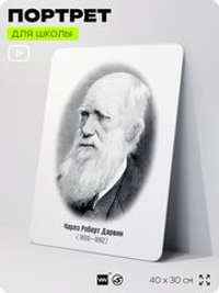 Портрет для школы в кабинет биологии "Чарльз Роберт Дарвин", стенд школьный для класса, деятели науки для оформления классного уголка, 40х30 см, Silver Plane x Айдентика Технолоджи