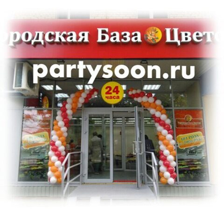 Оформление входа №3