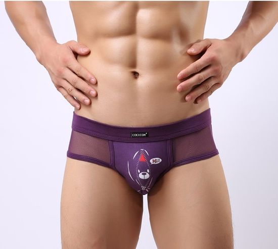 Мужские трусы брифы фиолетовые в сетку с рисунком Cockcon Unzip-Me Brief Violet 650