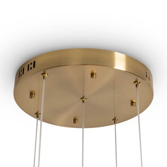 Подвесной светильник Freya Modern Flower FR5579PL-L40BS