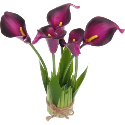 Цветочная композиция «Весенняя рапсодия» 15*30см Каллы фиолетовые