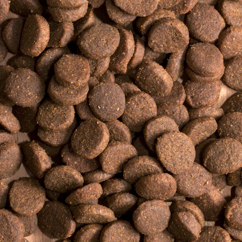 Сухой беззерновой корм Probalance Adult Grain Free для взрослых собак Сухой беззерновой корм Probalance Adult Grain Free для взрослых собак