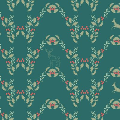 Сказочный лес Карелии