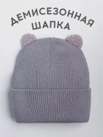 Шапка детская с ушками осенняя