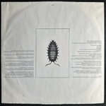 The Boomtown Rats ‎– In The Long Grass (США 1984г.)