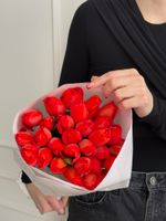 Тюльпаны классика - ярко-красный цвет