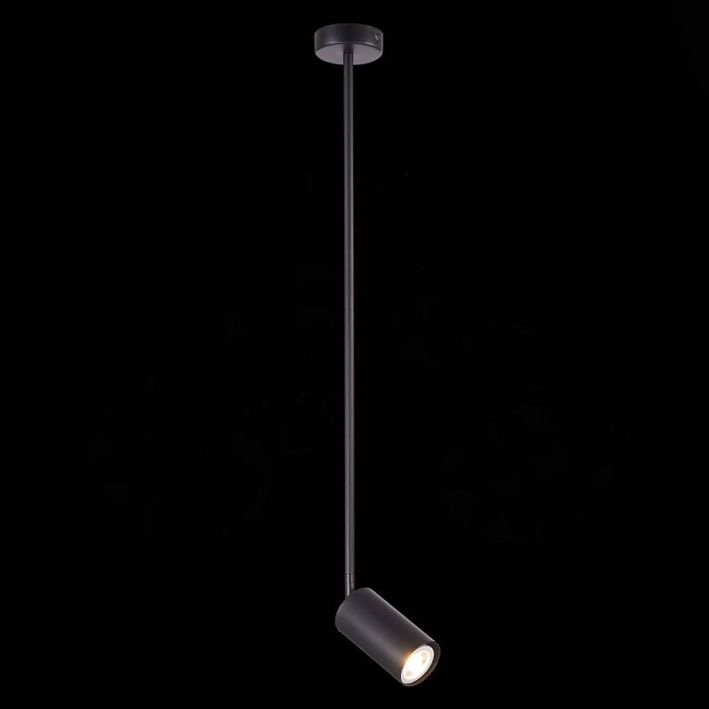 Светильник на штанге ST-Luce SL1206.403.01