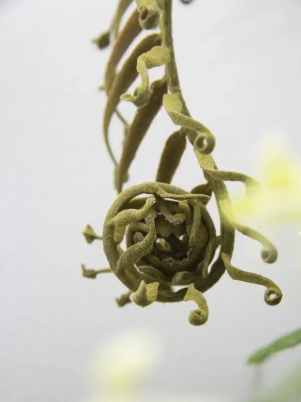 Композиция в напольной вазе "Орхидея"