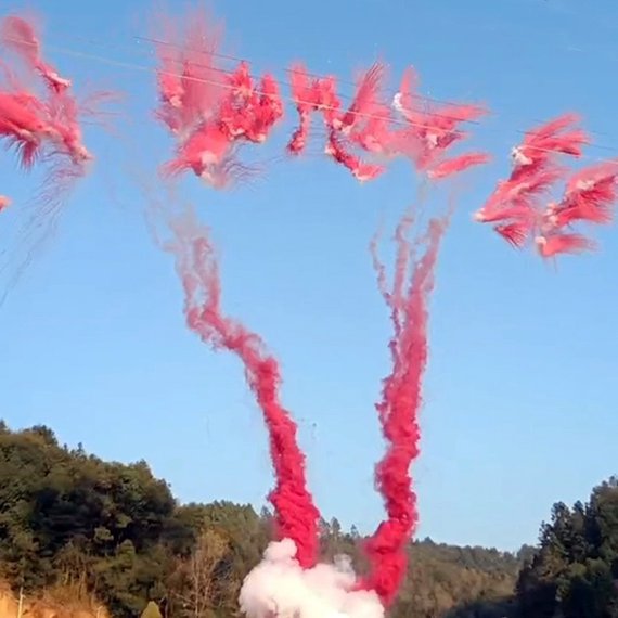 Гендерный салют премиум Наследник или наследница? (ДЕВОЧКА) БСП2910012 (100/1,2) веер