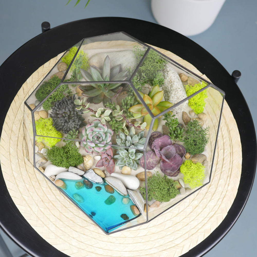 Готовый флорариум с суккулентами Валун с озером
