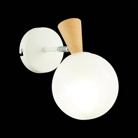 Светильник настенный Evoluce Catania SLE220701-01