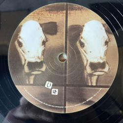 Виниловая пластинка LP Dixie Chicks Home (Европейский Союз 2016)