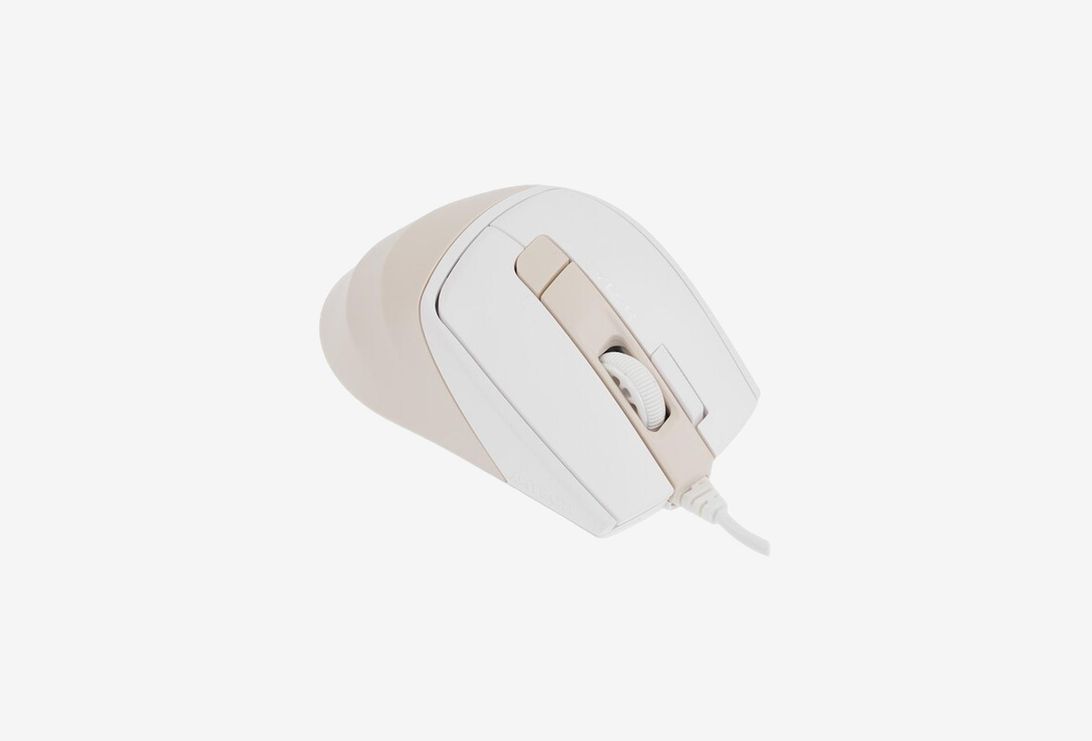 1971516_0226326100928