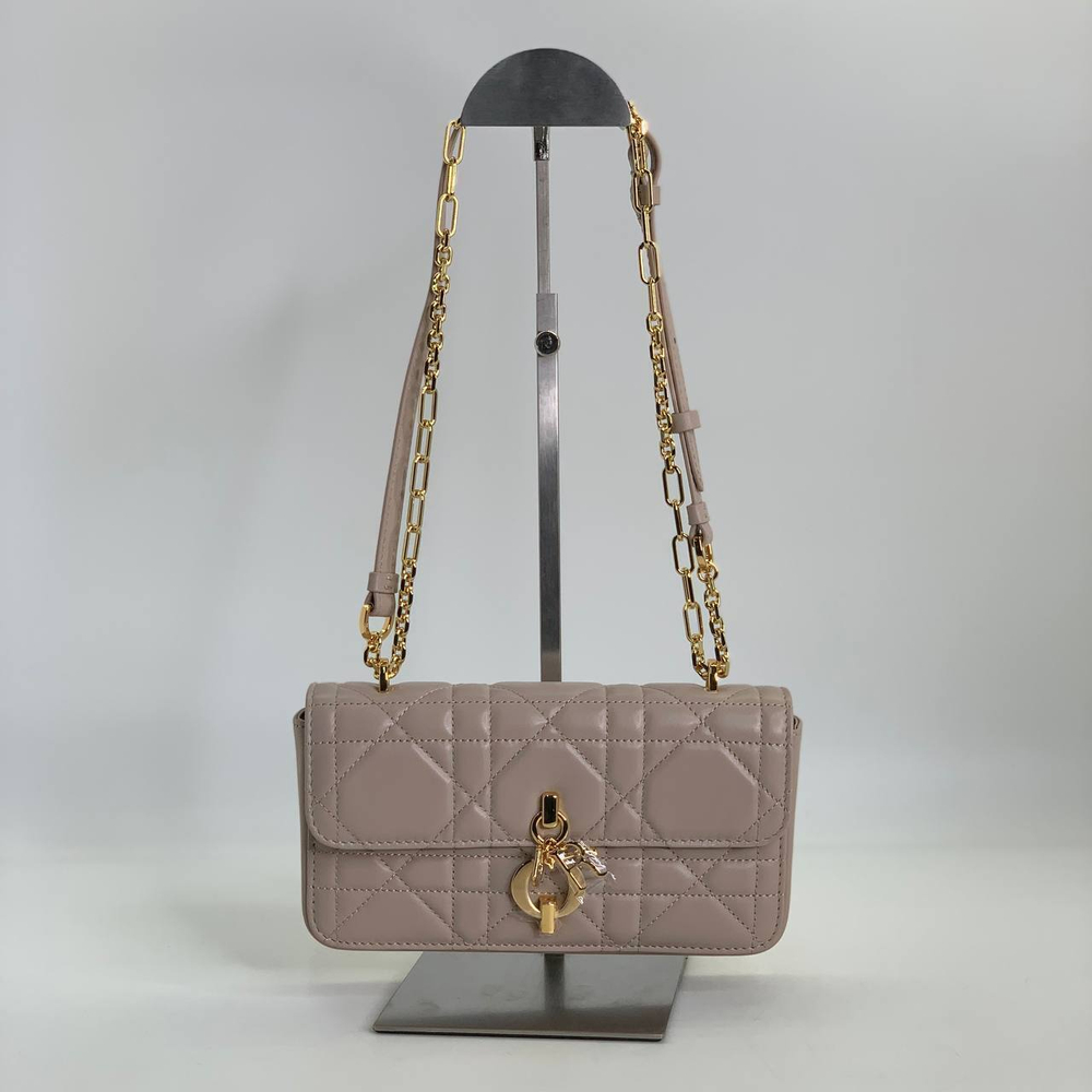 Сумка Dior 22 см