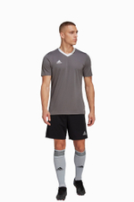 Футболка adidas Entrada 22