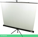 Проекционный экран Lumien Eco View (LEV-100101)