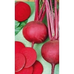 Семена Свекла Любава (УД) Е/П