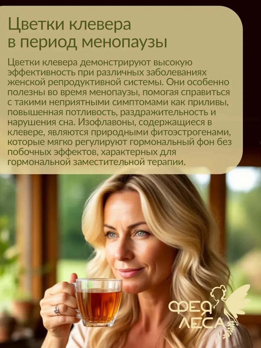 Клевер красный луговой целые цветки