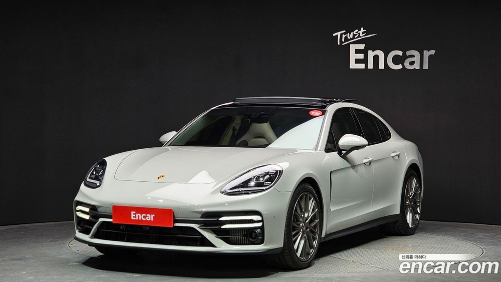 Porsche Panamera (971) 2.9 AWD Platinum Editions (04.2023)