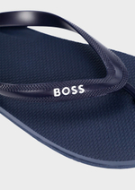 Сланцы BOSS