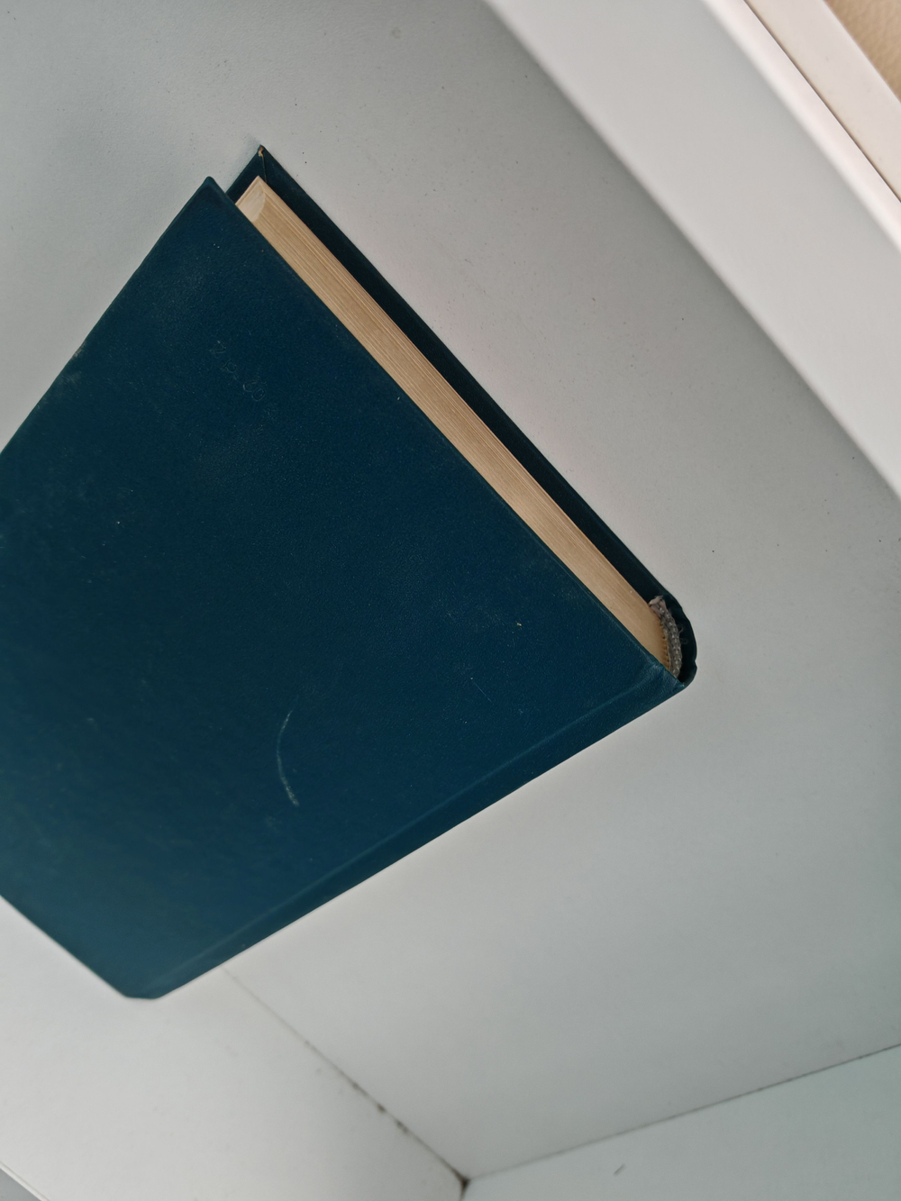 Записки революционера