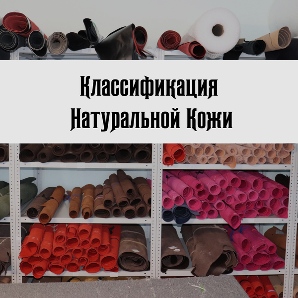 Классификация натуральной кожи