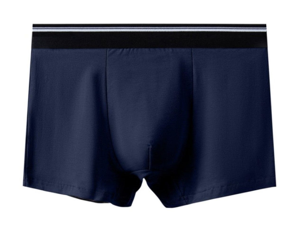 Мужские однотонные трусы-боксеры с резинкой в полоску (Размер: XL) (Цвет: темно-синий)