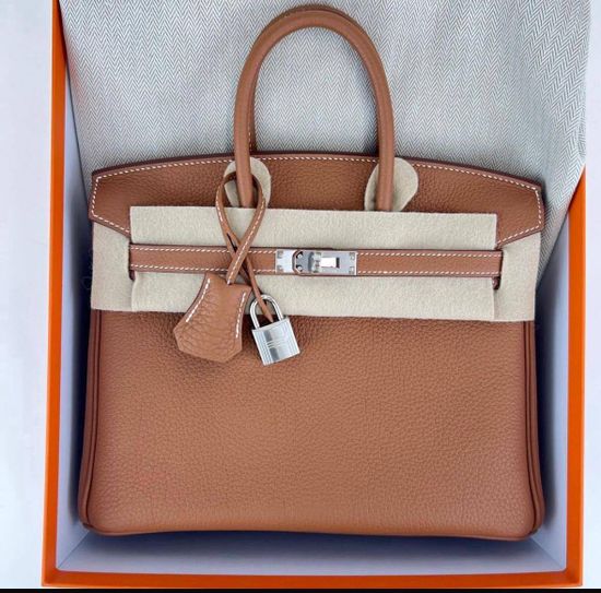 Сумка Hermes Birkin 25 Gold Togo Palladium Hardware 