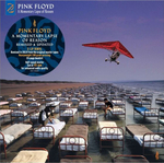 Pink Floyd / A Momentary Lapse Of Reason (Remixed &amp; Updated)(2LP)