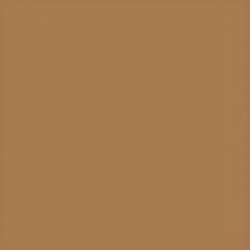 Коляска 2 в 1 Carrello Alfa 2025 CRL-6522 Honey Beige