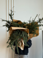 Хвоя - охапка пихты с шишками