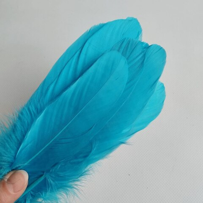 Гусиные перья светло-голубые 2 сорт 20 шт.